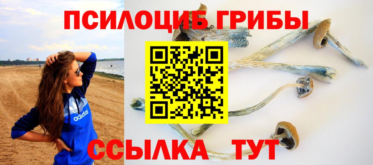 Псилоцибиновые грибы прущие грибы  Вход с VPN  Галлюциногенные грибы GOLDEN TEACHER  Вологда 