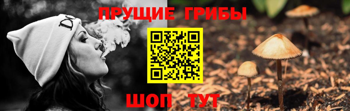Галлюциногенные грибы прущие грибы Вологда